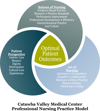 practice model